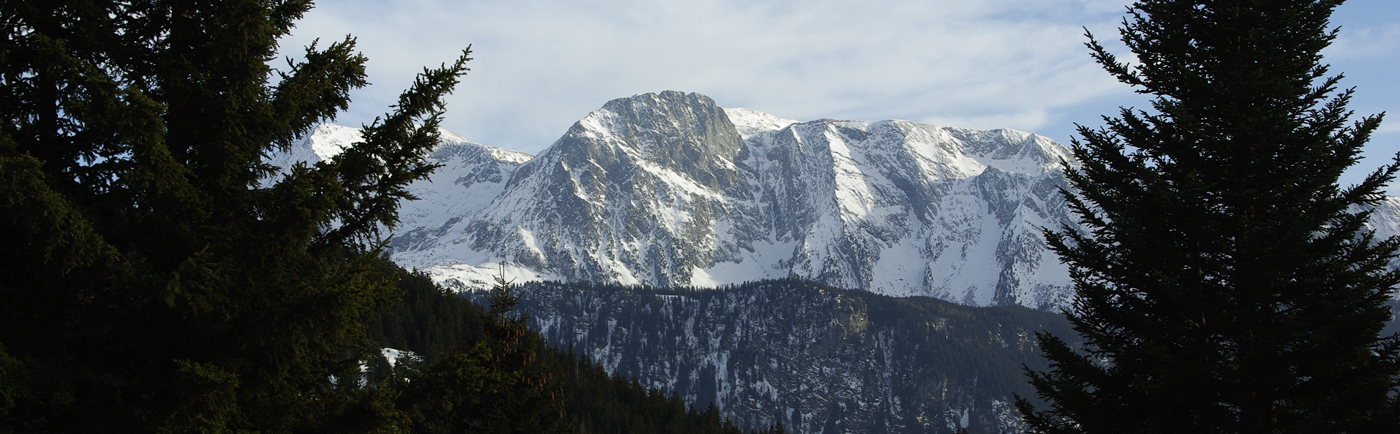 CHAMROUSSE - Les Balcons du Recoin